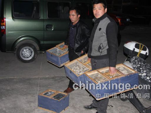 �������ˣ�����300�����ٶ�������(ͼ)