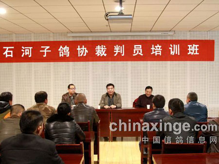 �½�ʯ���Ӹ�Э�������Ա��ѵ��(ͼ)