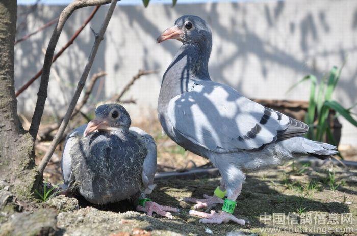 �Ի��ɹ����ѣ���Ϊʲô�ɲ��ã�(ͼ)