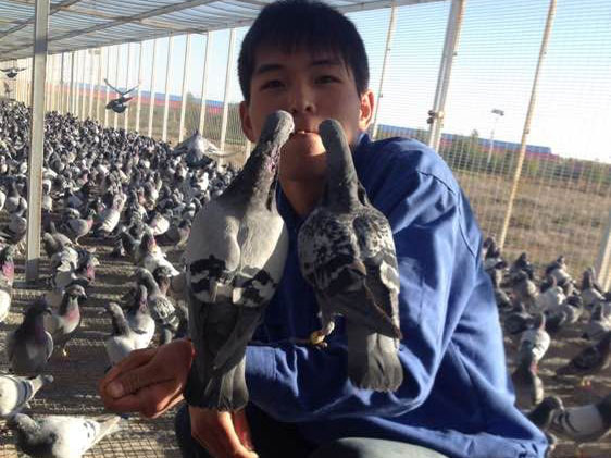 �����ܵ�ְҵ�𣿼��˷���