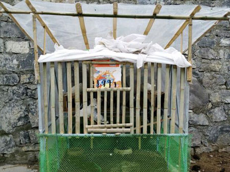 40Ԫ�����׸��� �������(ͼ)