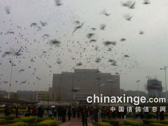 ���������ǡ�����ɱ����