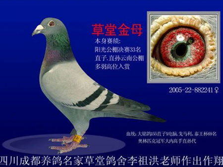 մѪ������Ӯ�ž���(ͼ)