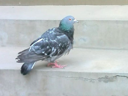 ���¸����� ���ȶ�ϴ����(ͼ)