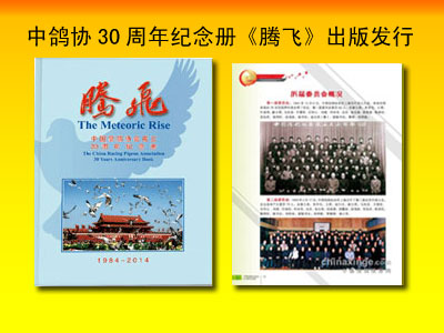 �и�Э30�������ᡶ�ڷɡ����淢��