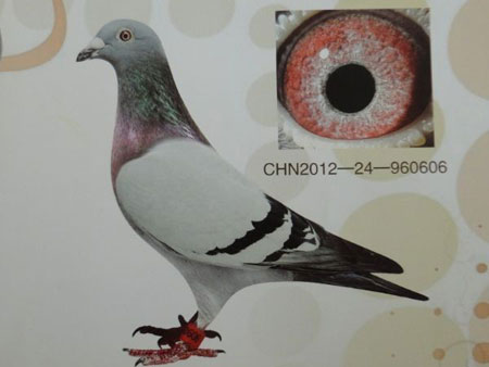 3100������³������Ψһ�鷵��(ͼ)