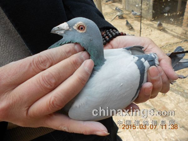 ���ҿ��ŵ����������ûԾ���ҵ