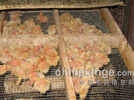 ��ѧ���룺�˹��ھ����������̣�(ͼ)