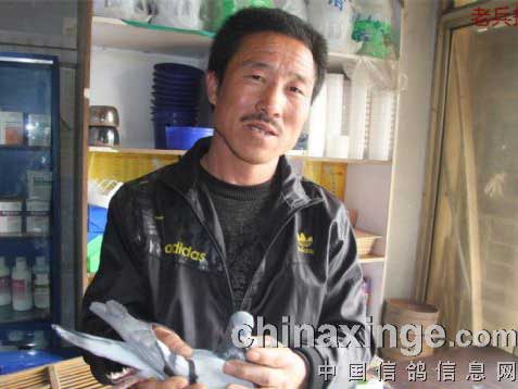 �������Ҹ���������ǰʮ�����(ͼ)