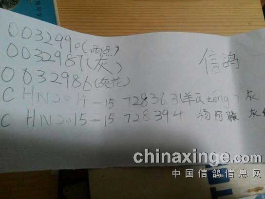 ů��С��Ů��͵͵�﹤н�ϰֹ�����(ͼ)