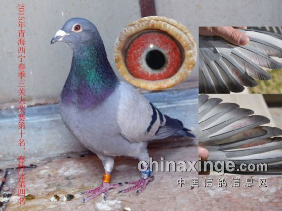 ��̭��Ҳ�д���(ͼ)