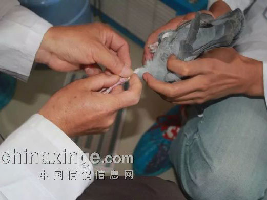 �������������������������(ͼ)