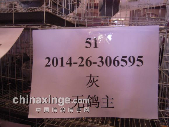 �������������᣺�������������(ͼ)