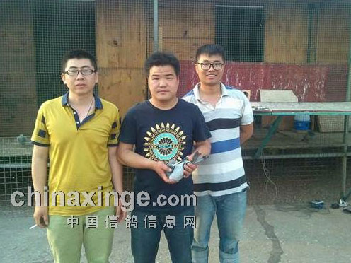 ���Ѽҵȸ룺���������������ھ���