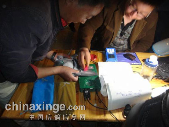 ����ǧ����γ�869��Ӣ��ս��(ͼ)