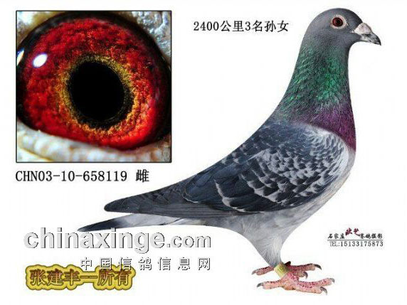 ��ǫ���Ϲ�ѧ ����˭�ˣ�