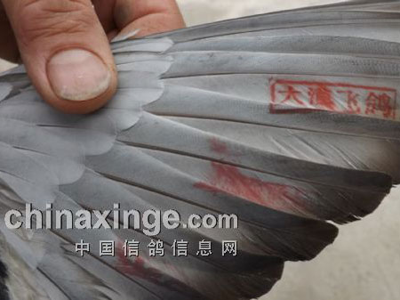 ʯ���Ӳп��������ڶ���600�������(ͼ)