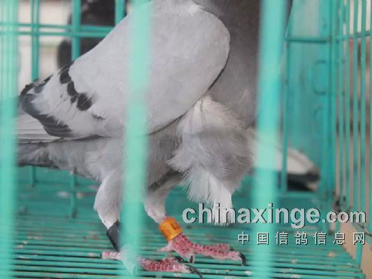 ��������Ԥ������ʱ�������ھ�������(ͼ)