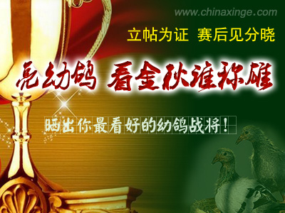 ��������õ��׸롪������Ϊ֤ ��������