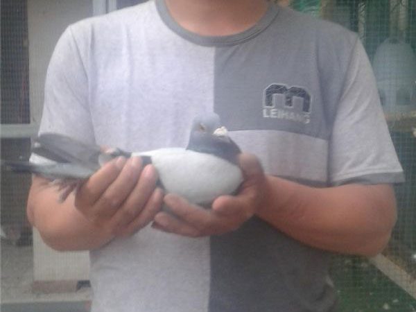 �����ź���˽ѵ�Ϻ�900����(ͼ)