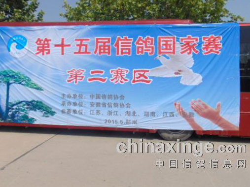 ֣�ݹ������񳿷ŷ� �����ֳ�����(ͼ)