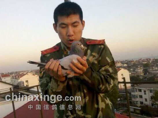 �����ж�Ҳ����(ͼ)