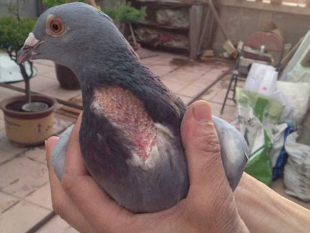 ����Ѹ�����ô���������ˣ�(ͼ)