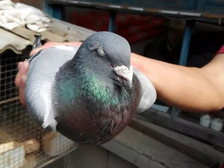 13��Ϲ���ϴƴ���(ͼ)