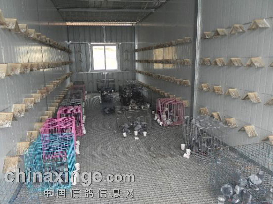 �����е���������˴���(ͼ)