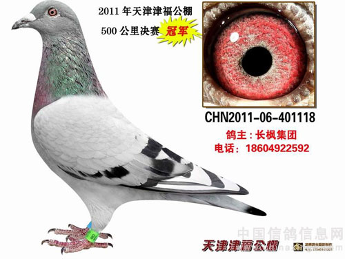 ������ã�ĸ��ѡ�й���ھ�(ͼ)