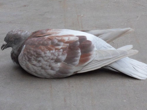 �ٲ��������� ���о��κã�