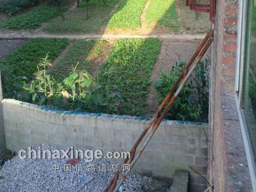 �ұ������賿������ݵ��룡