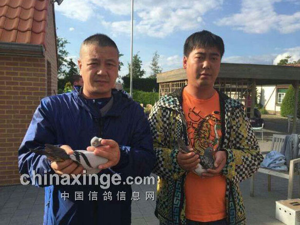 �ű����ŷ�ް��׸�(ͼ)