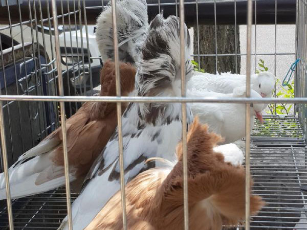 �����ո�æ������������������(ͼ)