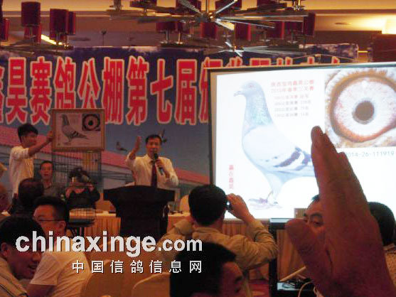 ����������껹���������(ͼ)