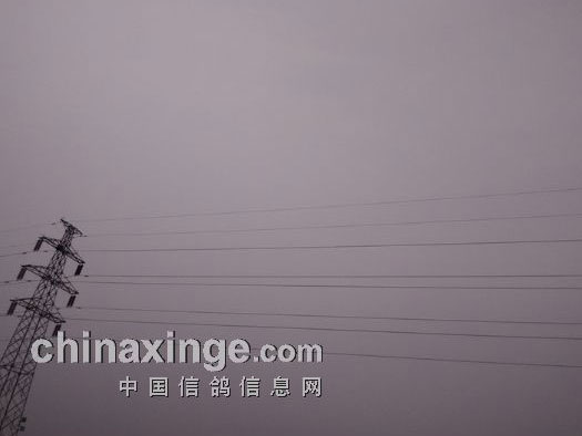 ʧ20���׸� ��ѹ���ǡ�ɱ�֡�(ͼ)