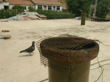 �̴���ȸ룺���ȸ����ȼ�(ͼ)