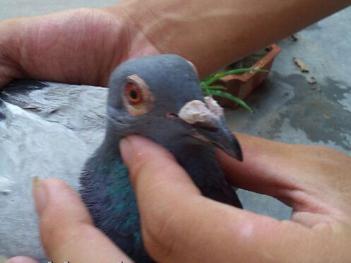 ������������� ��Ȭ����ŷ�(ͼ)