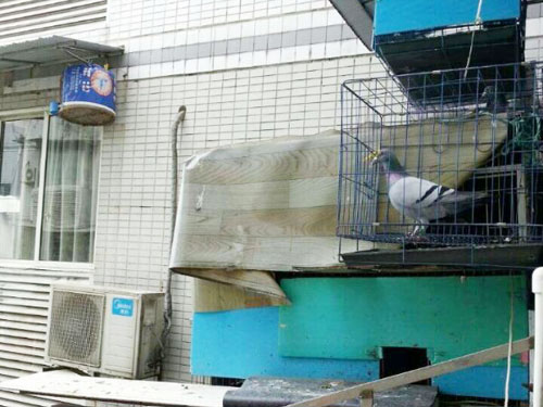 ���Ҹ��ѵ�1.5ƽ���������(ͼ)