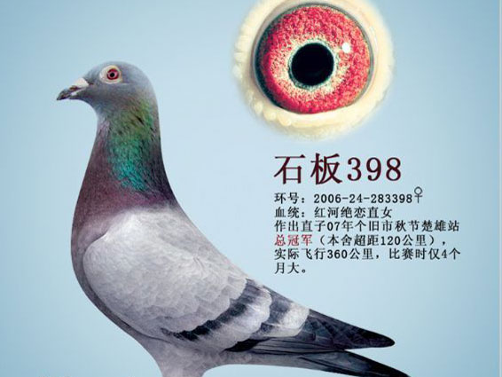 ���ӵ��Ŵ�(��)��ĸŮѪԵ�ж�˵