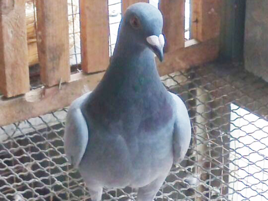 �Ų������㣺�ҵ��ֲ����׸�Ӳ���