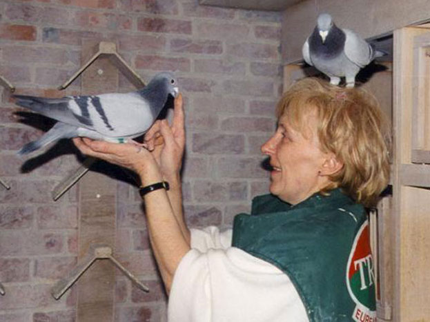 ���������ϵ���񱼳۳�����ֵ������