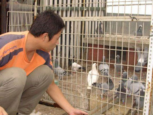 ���ﲻ��һ�� С����Ͷ���������