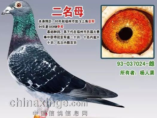 ��20����й����󶥼��ָ룿(ͼ)