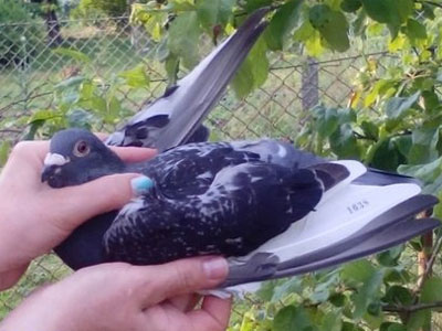 �����������ھ�������� 8���Ͻ�����1657����