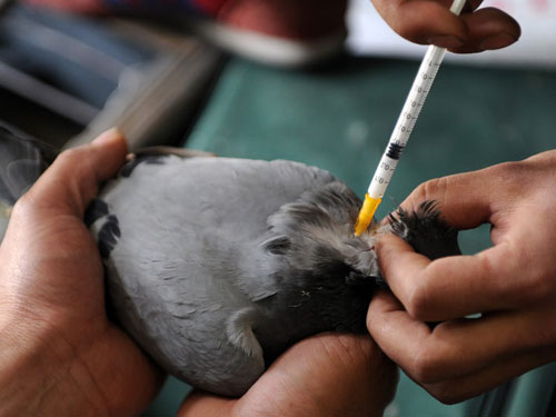 �������磺���������ã�