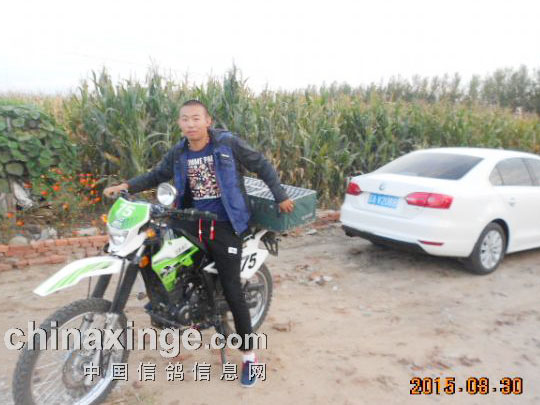 ������������ʱ��������230�������(ͼ)