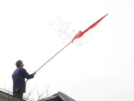 ƴ��ѵ�Ż������Ρ���ͷ��