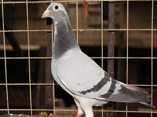 �ھ���׸�����Ҫ���Ҳ���ͬ