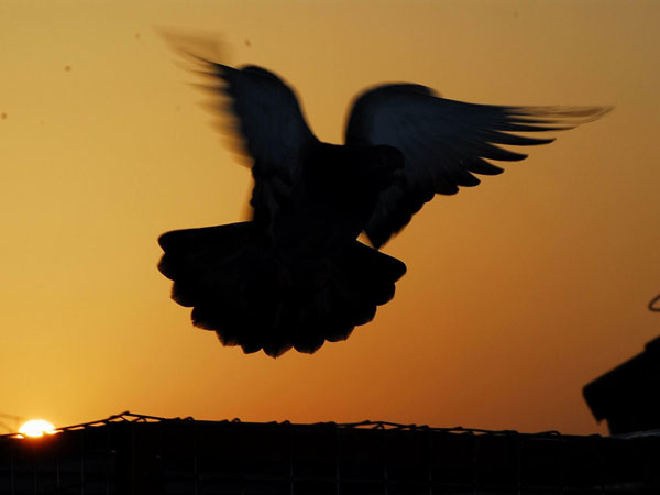 �������֣�ʲô�����ɼ��ɵú�